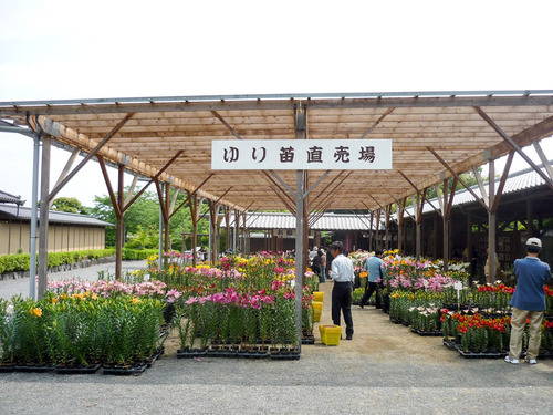 09