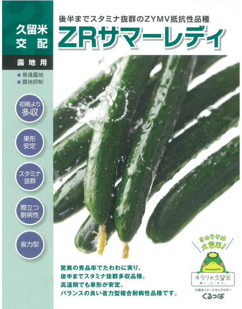 今年のキュウリ苗ラインナップ : キントラ種苗 オフィシャルブログ