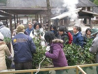 1e802d33.jpg