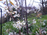 DSCN3627