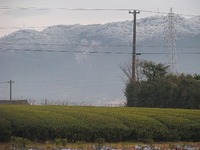 9c3df816.jpg