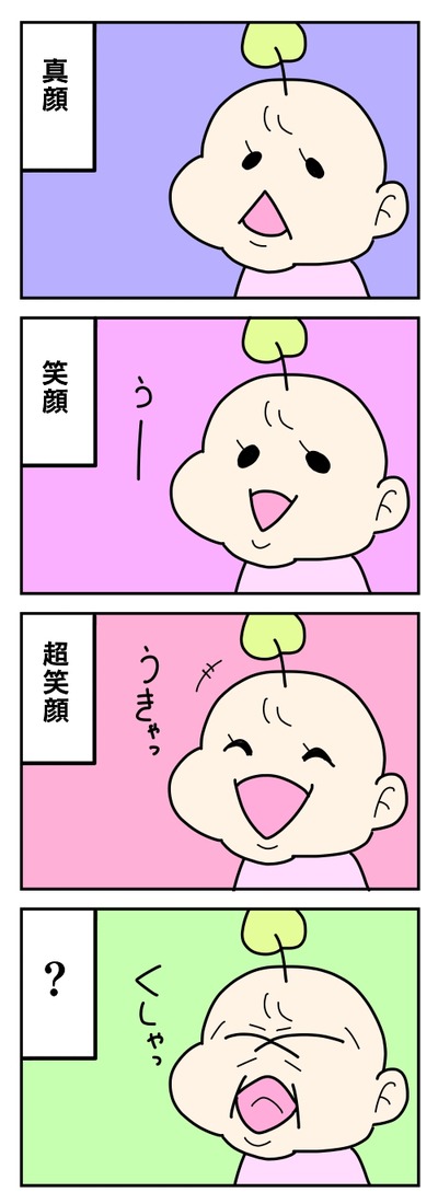 231