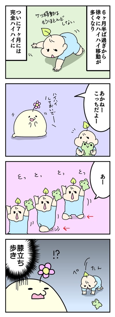 241