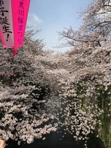 1d091834.jpg