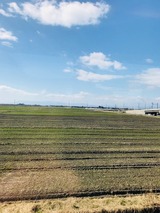 473e77d0.jpg