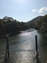 600f2c54.jpg