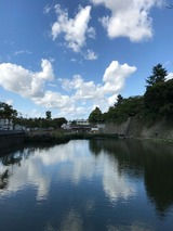 89a07436.jpg