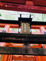 a72f5c48.jpg