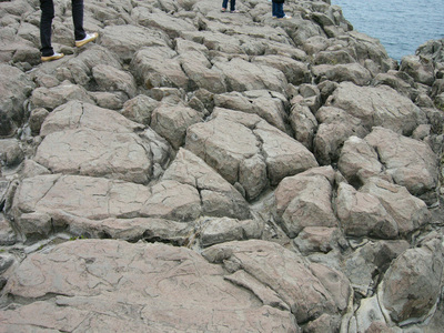 P1010527