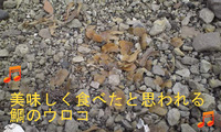 BlogPaint