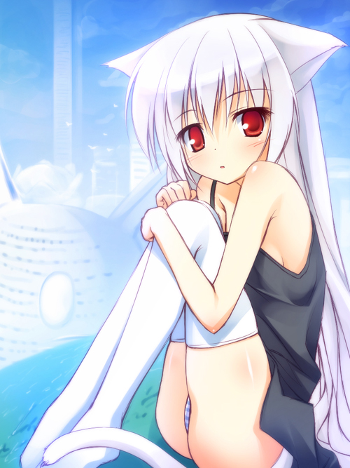 yk_neko