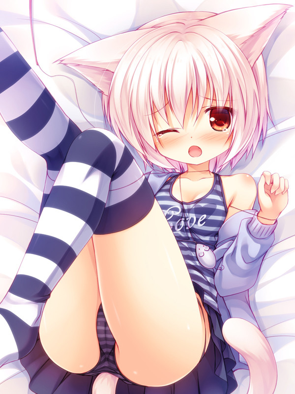 yk_simaneko