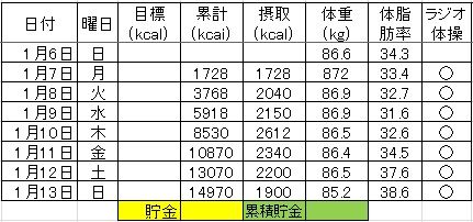 2_ダイエット記録130113