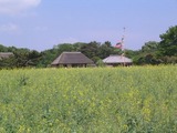 33国営ひたち海浜公園01