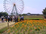 36国営ひたち海浜公園04