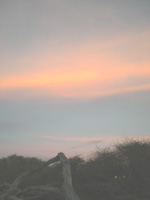 4b7f92d5.JPG