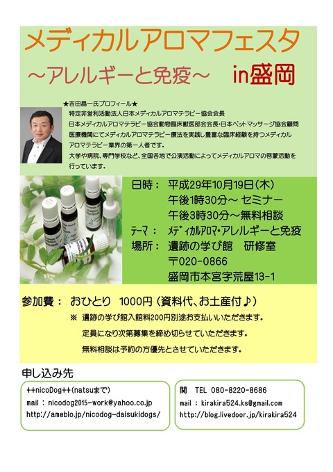 19盛岡フェスタ885