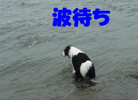 537df31d.jpg