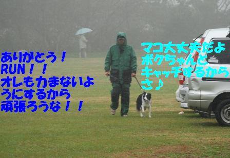 5a747166.jpg