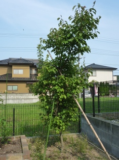 d0e04aab.jpg