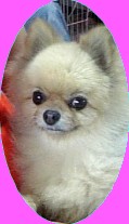 抱っこきらら