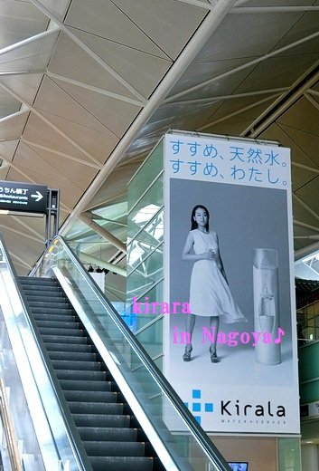 2CIMG0222-b