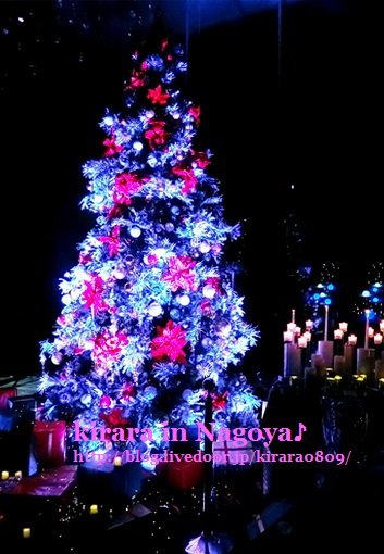 CIMG0748b