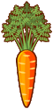 人参