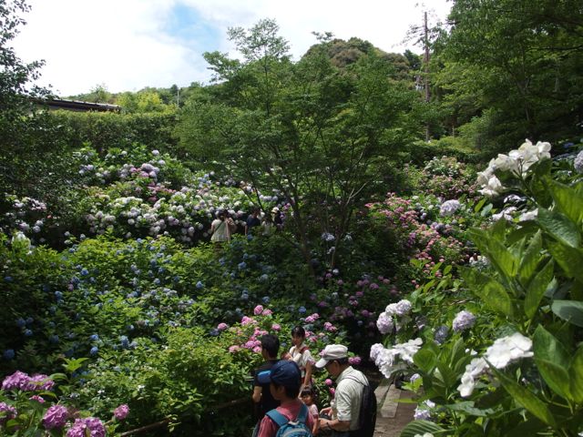 P6280454