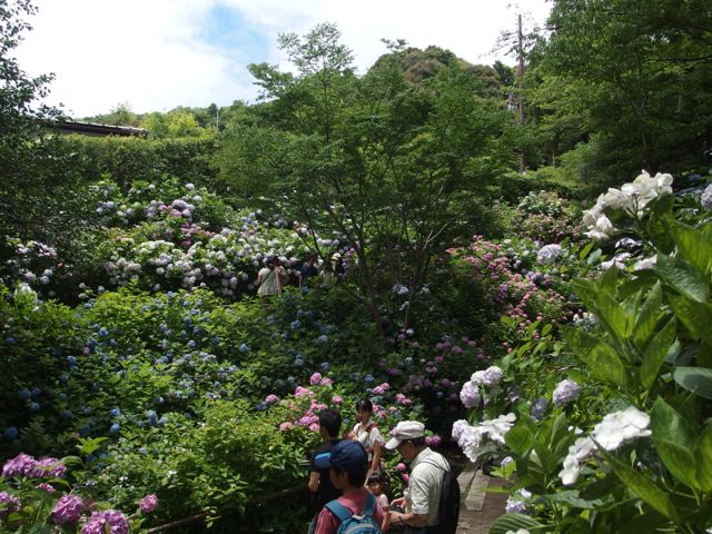 花ギフト｜フラワーギフト｜誕生日　花｜カノシェ話題｜スタンド花｜ウエディングブーケ｜花束｜花屋｜P6280454