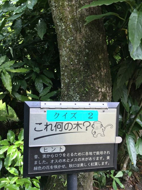 花ギフト|フラワーギフト|誕生日 花|カノシェ話題|スタンド花|ウエディングブーケ|花束|花屋|IMG_1741