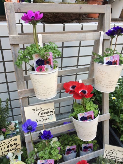花ギフト|フラワーギフト|誕生日 花|カノシェ話題|スタンド花|ウエディングブーケ|花束|花屋|IMG_9041