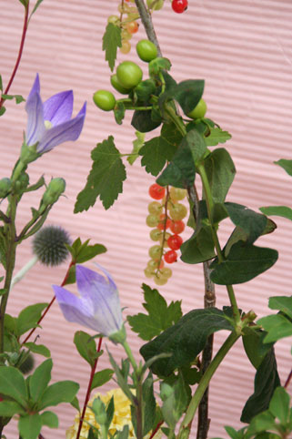 花ギフト｜フラワーギフト｜誕生日　花｜カノシェ話題｜スタンド花｜ウエディングブーケ｜花束｜花屋｜あゆみ２