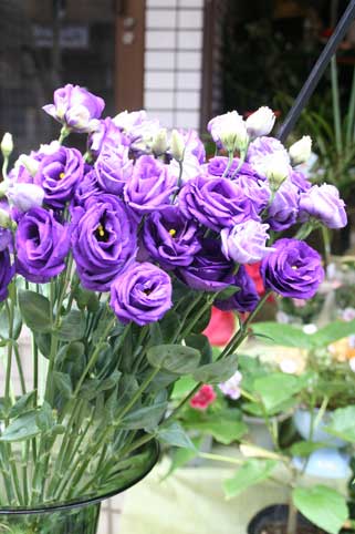 花ギフト|フラワーギフト|誕生日 花|カノシェ話題|スタンド花|ウエディングブーケ|花束|花屋|トルコ