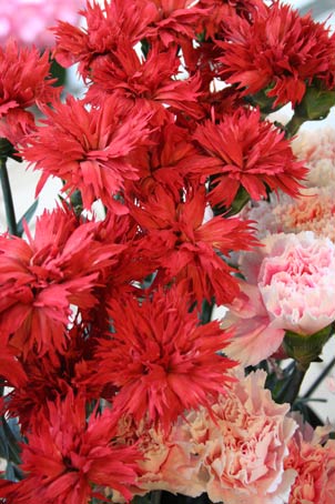 花ギフト|フラワーギフト|誕生日 花|カノシェ話題|スタンド花|ウエディングブーケ|花束|花屋|gizaka-ne