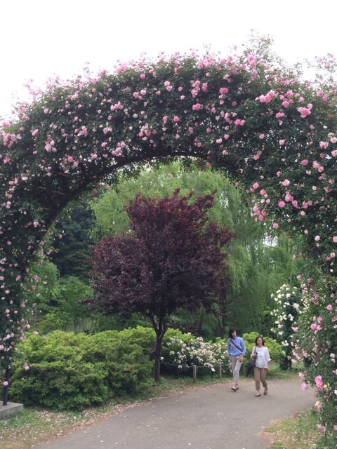 花ギフト|フラワーギフト|誕生日 花|カノシェ話題|スタンド花|ウエディングブーケ|花束|花屋|IMG_1465