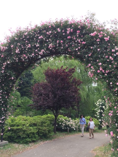 花ギフト｜フラワーギフト｜誕生日　花｜カノシェ話題｜スタンド花｜ウエディングブーケ｜花束｜花屋｜IMG_1465