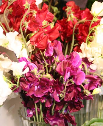 花ギフト|フラワーギフト|誕生日 花|カノシェ話題|スタンド花|ウエディングブーケ|花束|花屋|IMG_6171