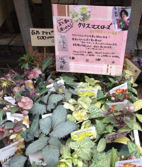 花ギフト|フラワーギフト|誕生日 花|カノシェ話題|スタンド花|ウエディングブーケ|花束|花屋|11694908_917621718345122_3761865833607482391_n