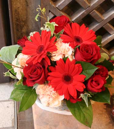 花ギフト|フラワーギフト|誕生日 花|カノシェ話題|スタンド花|ウエディングブーケ|花束|花屋|赤ガーベラ