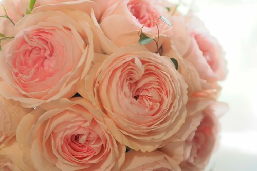花ギフト|フラワーギフト|誕生日 花|カノシェ話題|スタンド花|ウエディングブーケ|花束|花屋|P4222472