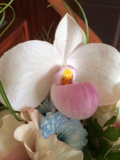 花ギフト|フラワーギフト|誕生日 花|カノシェ話題|スタンド花|ウエディングブーケ|花束|花屋|IMG_9990