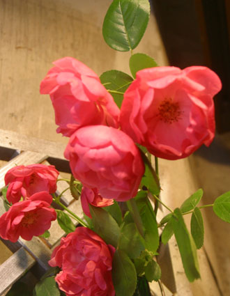 花ギフト|フラワーギフト|誕生日 花|カノシェ話題|スタンド花|ウエディングブーケ|花束|花屋|アンジェラ