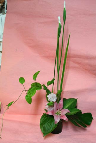 花ギフト｜フラワーギフト｜誕生日　花｜カノシェ話題｜スタンド花｜ウエディングブーケ｜花束｜花屋｜tanisan-shobu