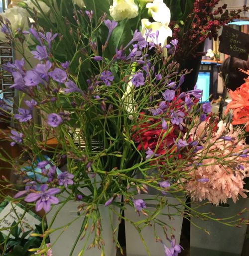 花ギフト|フラワーギフト|誕生日 花|カノシェ話題|スタンド花|ウエディングブーケ|花束|花屋|IMG_7763