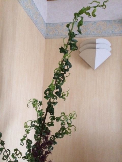 花ギフト|フラワーギフト|誕生日 花|カノシェ話題|スタンド花|ウエディングブーケ|花束|花屋|写真 1(42)