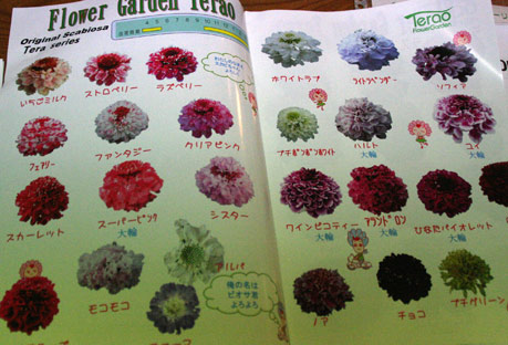 花ギフト|フラワーギフト|誕生日 花|カノシェ話題|スタンド花|ウエディングブーケ|花束|花屋|IMG_0149
