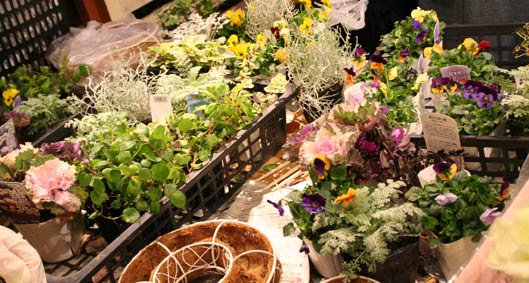 花ギフト|フラワーギフト|誕生日 花|カノシェ話題|スタンド花|ウエディングブーケ|花束|花屋|IMG_5348