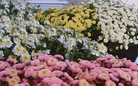 花ギフト|フラワーギフト|誕生日 花|カノシェ話題|スタンド花|ウエディングブーケ|花束|花屋|matori