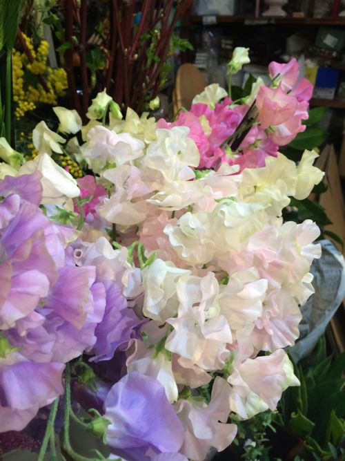 花ギフト|フラワーギフト|誕生日 花|カノシェ話題|スタンド花|ウエディングブーケ|花束|花屋|IMG_9163